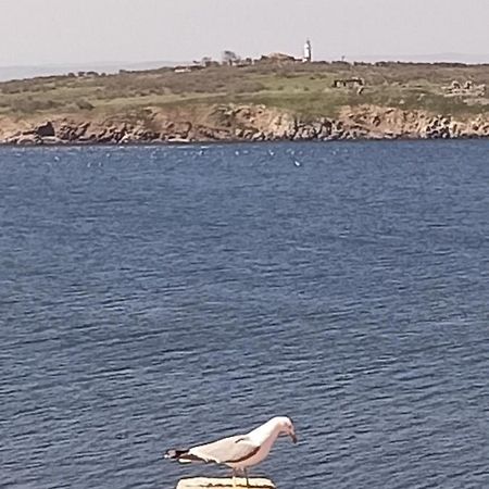 Damaris Hotel Sozopol Luaran gambar