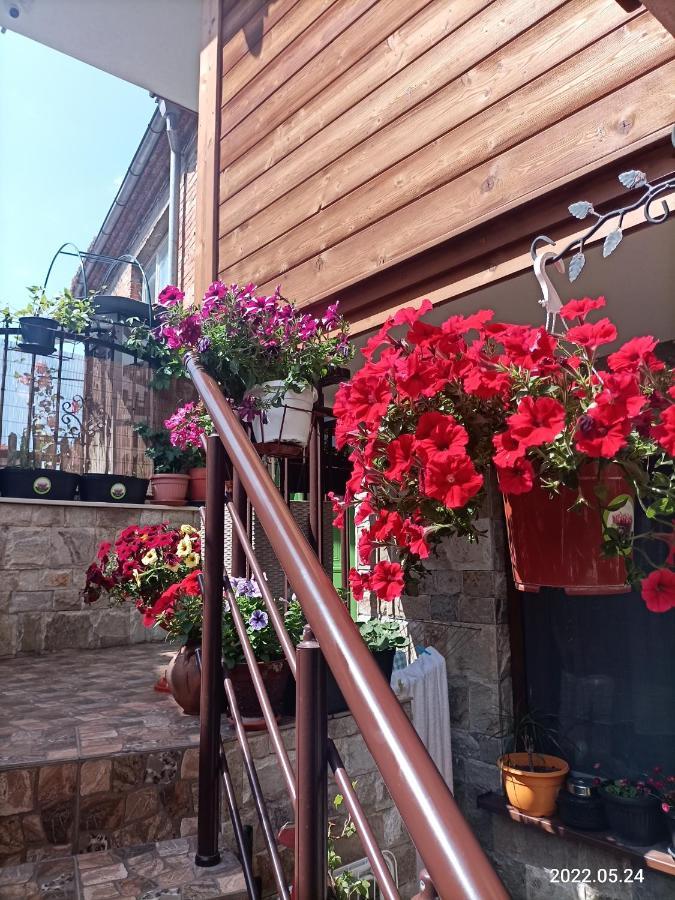 Damaris Hotel Sozopol Luaran gambar
