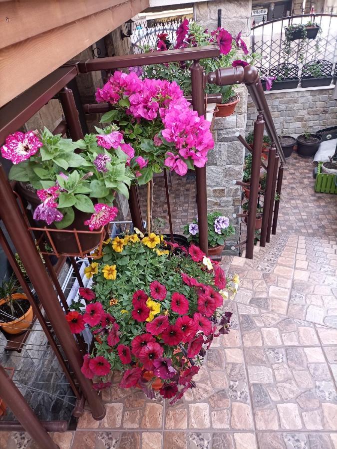 Damaris Hotel Sozopol Luaran gambar